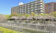 パレス住之江公園　～リフォーム中～